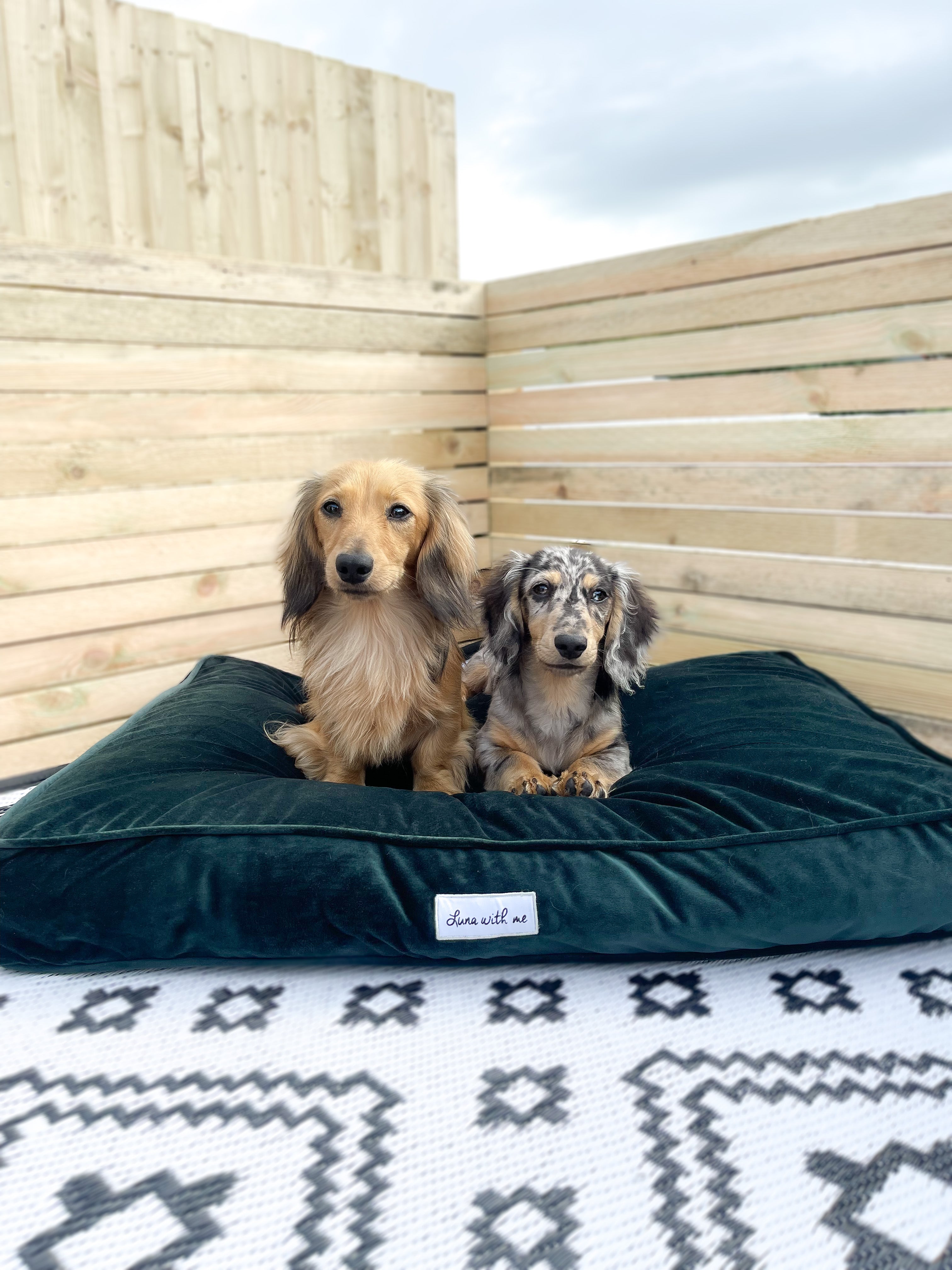 Green velvet dog outlet bed