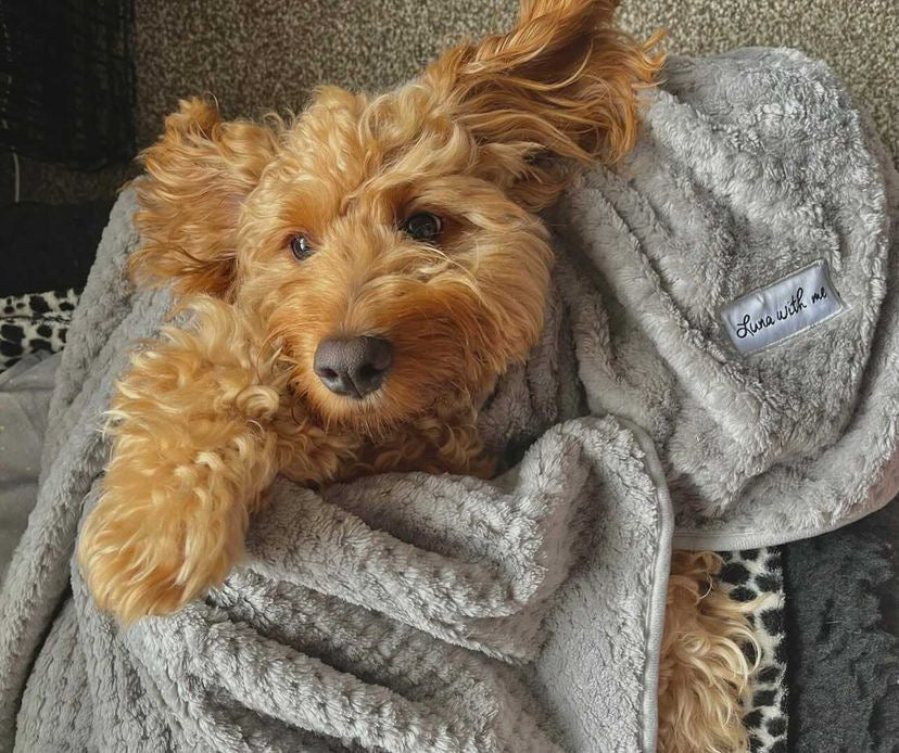 Grey store pet blanket