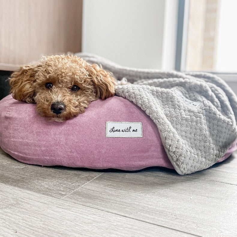 Grey store dog blanket